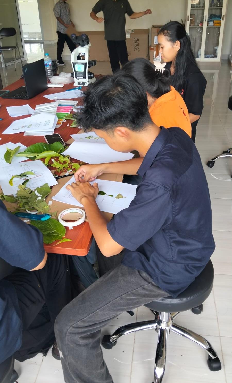 Praktikum Tanaman